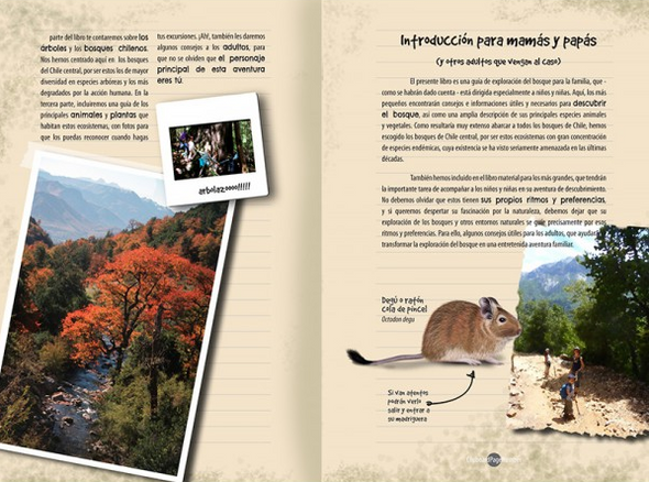 Exploremos El Bosque